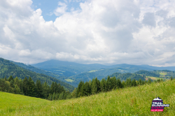 2025-08-23 KTRE 2025_130709_20250823-8013